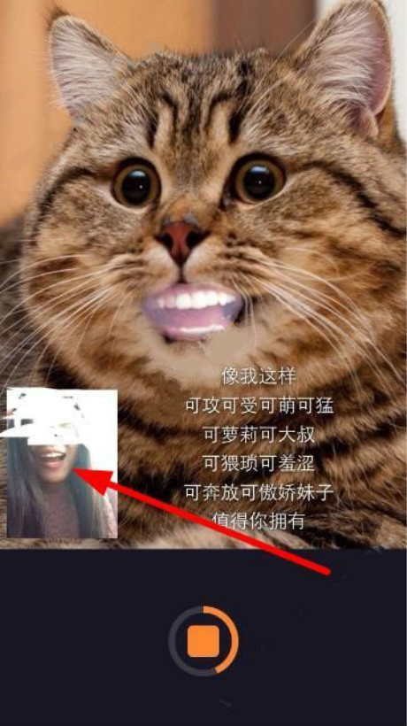 15.jpg