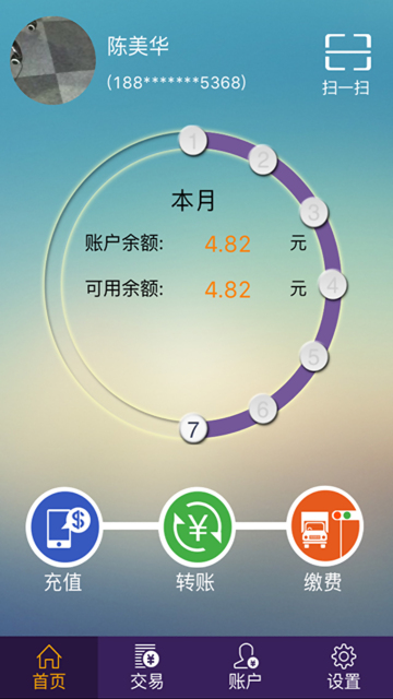 林安支付