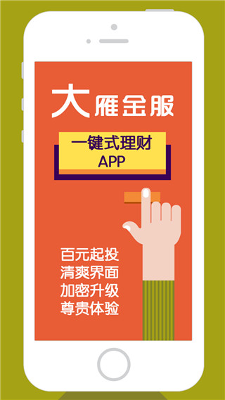 大雁金服