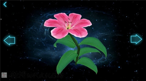 纸介动画