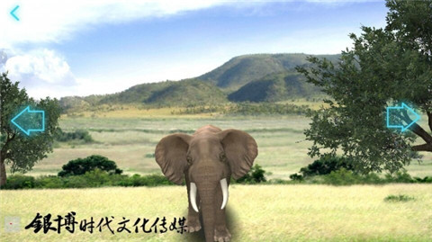 纸介动画