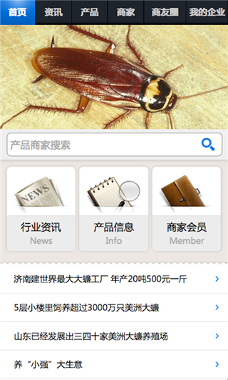 美洲大蠊