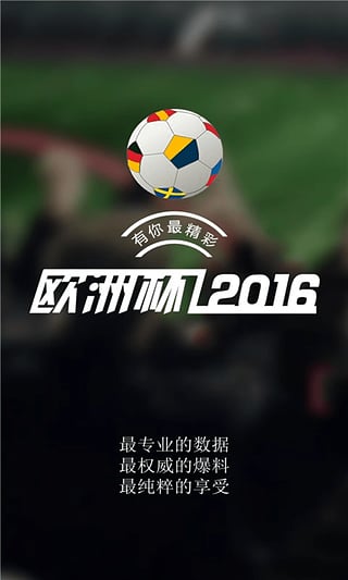 2016欧洲杯