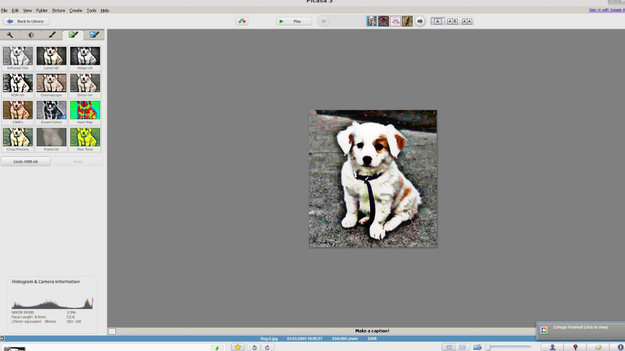 Picasa v3.9.141.259官方版