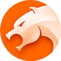 猎豹安全浏览器 v6.5.115.18480官方版