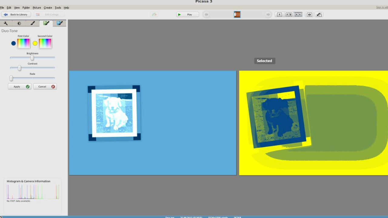 Picasa v3.9.141.259官方版