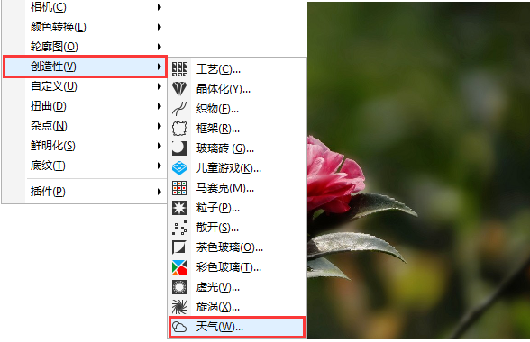 coreldraw电脑版 v11.0官方版