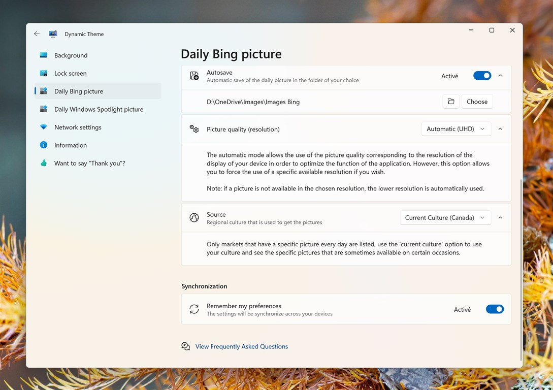 Dynamic Theme(自动更换壁纸) v1.6.80.0 官方中文版