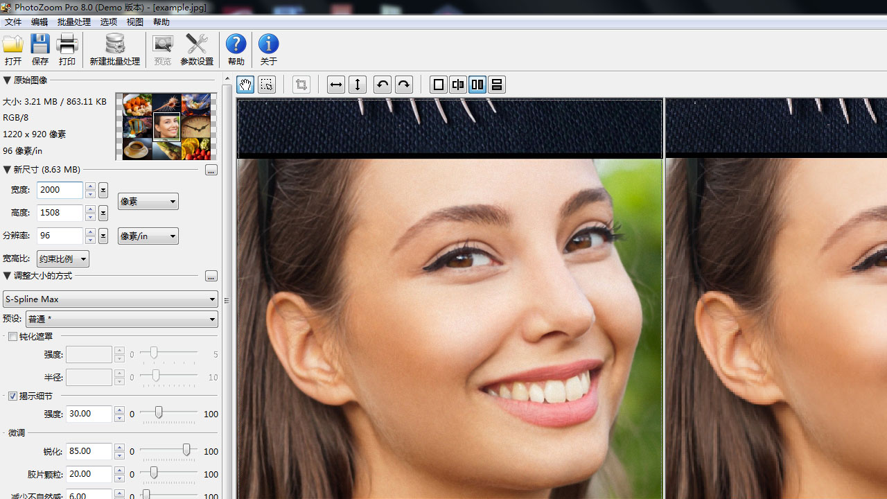 PhotoZoom Pro v8.0官方版