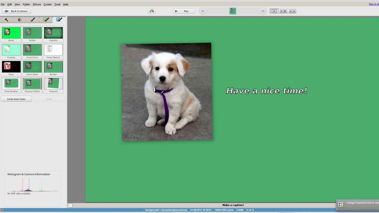 Picasa v3.9.141.259官方版