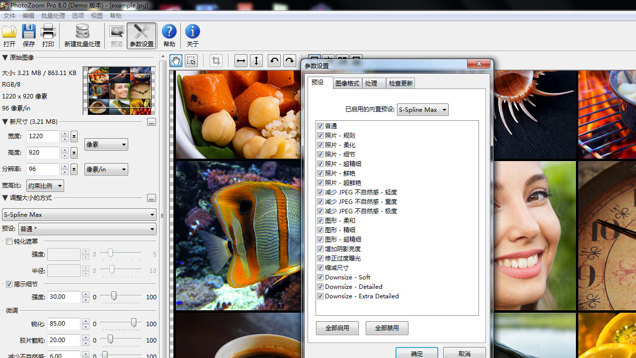 PhotoZoom Pro v8.0官方版