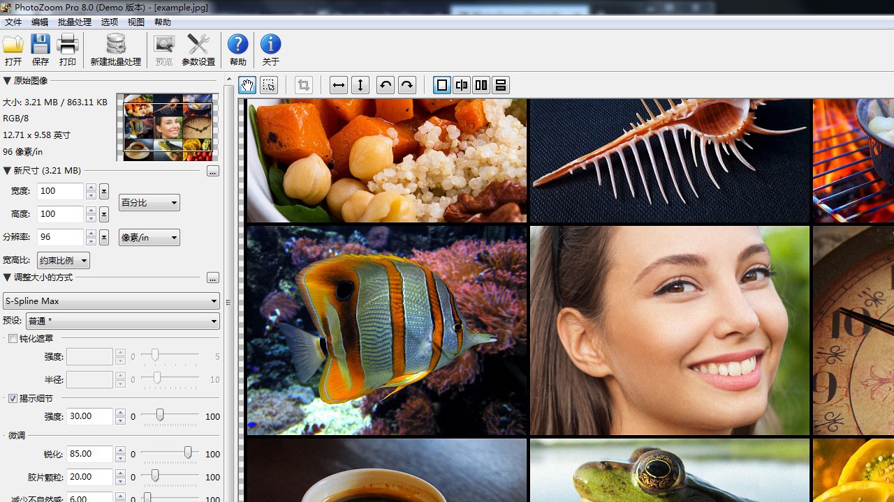 PhotoZoom Pro v8.0官方版