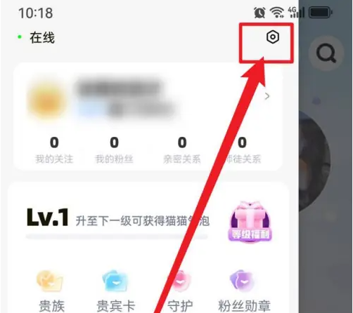 耳旁语音怎么清空聊天记录 耳旁语音清空聊天记录方法