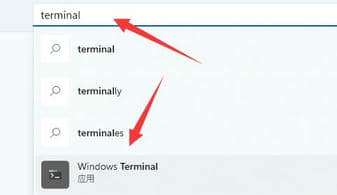 Win11找不到wt.exe解决方法