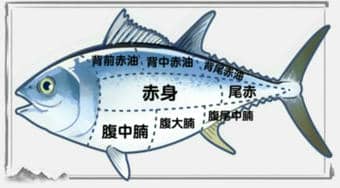 《文字进化》食物识别五通关攻略技巧解析