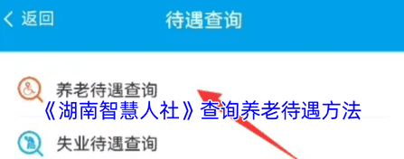 湖南智慧人社怎么查询养老金发放 查询养老待遇方法