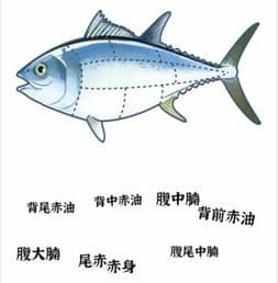 文字进化食物识别五通关攻略技巧解析