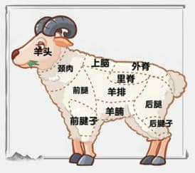 《文字进化》食物识别四通关攻略技巧解析