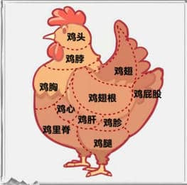 《文字进化》食物识别二通关攻略技巧解析