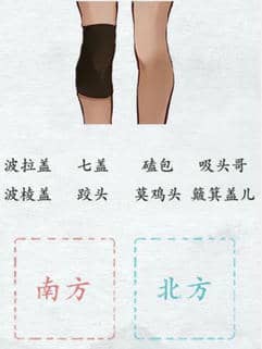 《汉字进化》南北差异图文通关攻略