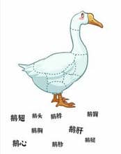 文字进化食物识别一通关攻略技巧解析